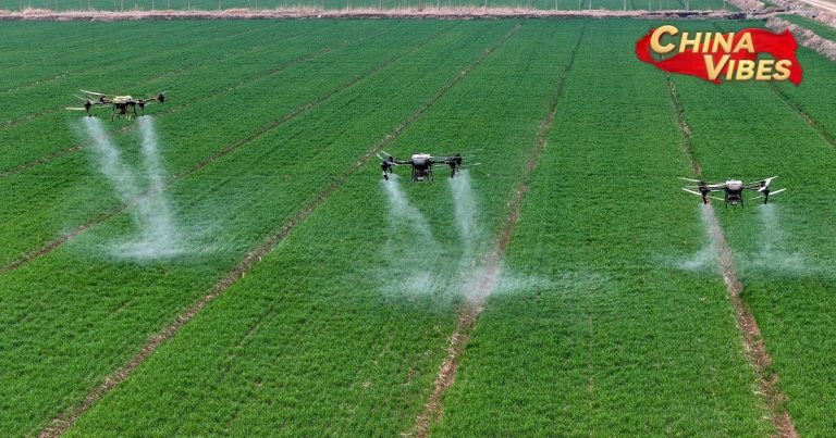 Key document highlights China’s efforts to further deepen rural reform