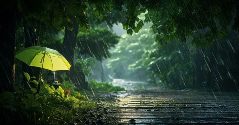 Islamabad and Rawalpindi experience their first rainfall in months following a drought