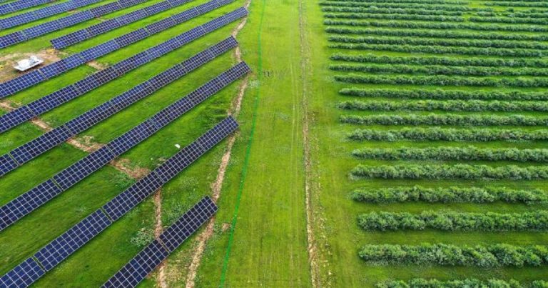 China’s green development contributes to global climate action China's green development contributes to global climate action