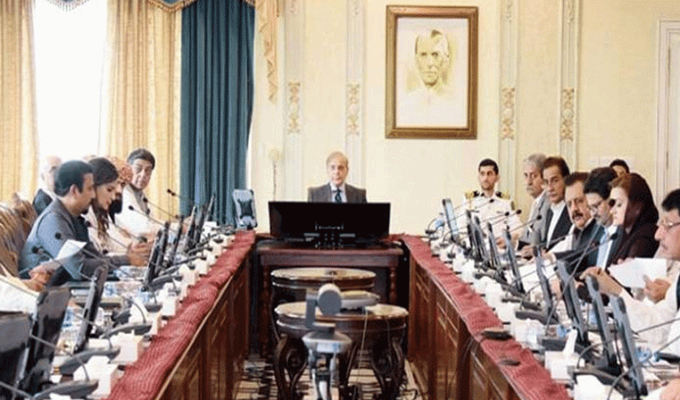 Govt to privatise 24 institutions in three phases; PIA in first