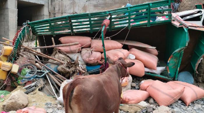 12 of a family killed, three injured in Dera Ismail Khan road accident