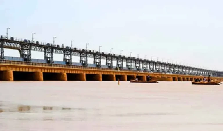 51 dead in Punjab floods as Panjnad, Sutlej overflow