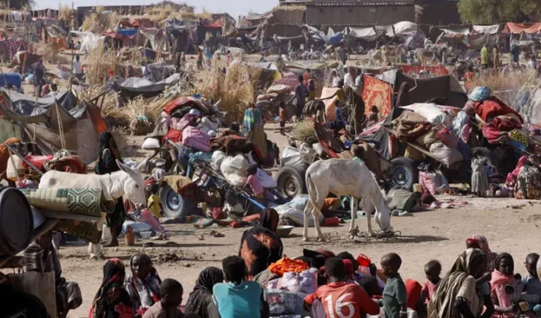 Sudan army retreats from el-Fasher as UN warns of RSF atrocities