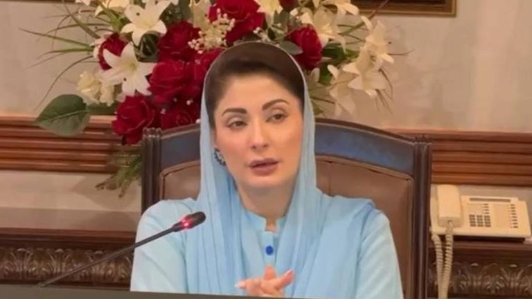 Protecting human rights is PML-N’s vision, says Maryam Nawaz