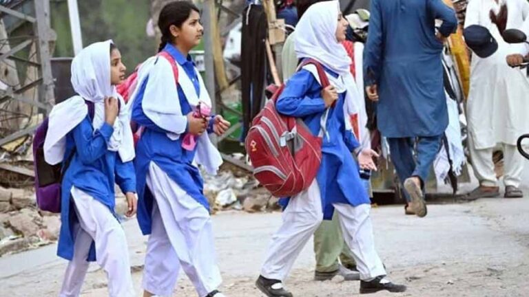 Sindh private school associations to observe strike on Jan 9 against verification drive