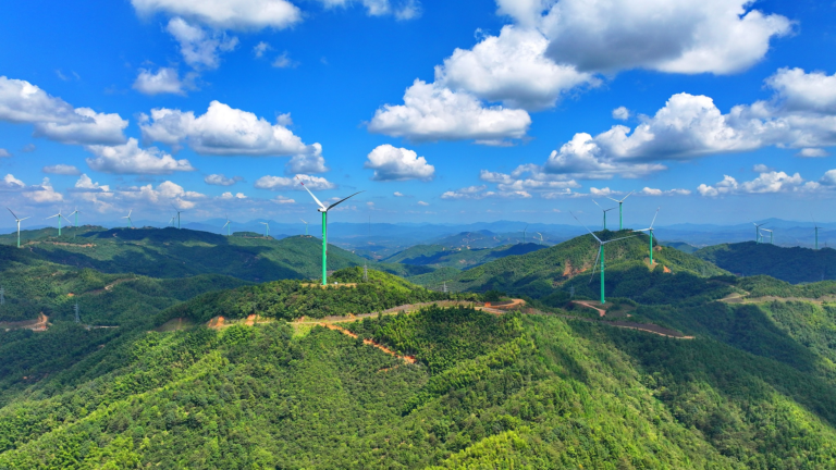 China rejects Trump claim on wind power, cites world-leading installed capacity