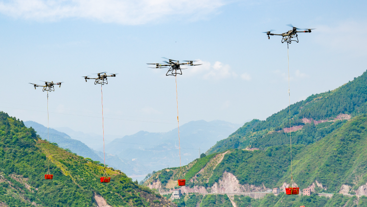 China to advance agricultural modernization through three key areas