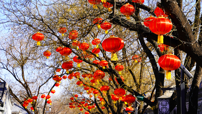 Chinese leaders extend Spring Festival greetings to retired senior officials