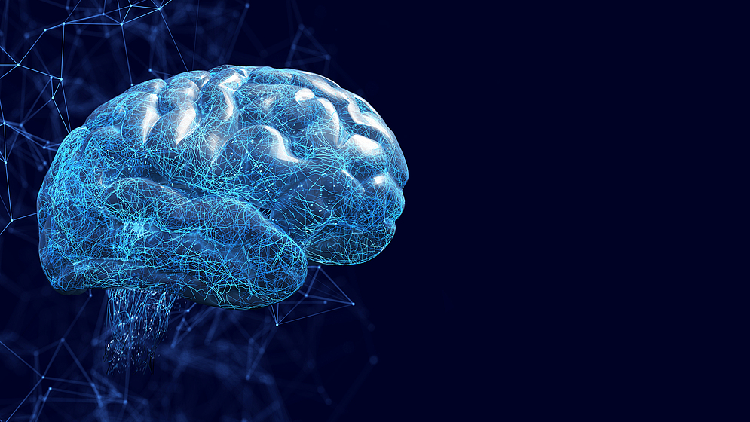 China creates neural network for modeling human concept formation