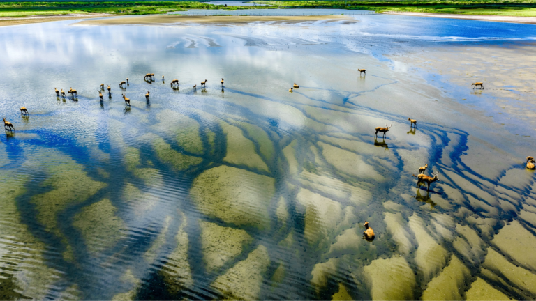 China issues guidelines on global sustainable development cooperation