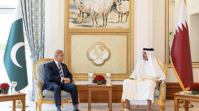 Pakistan, Qatar urge coordinated efforts for regional stability, energy security