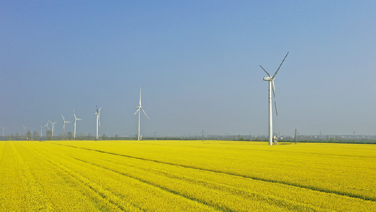 China uses technological innovations to power clean energy transition