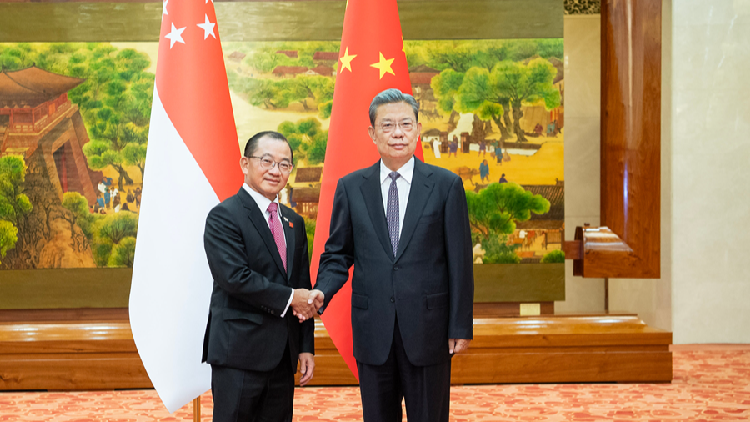 China’s top legislator holds talks with Singapore’s parliament speaker