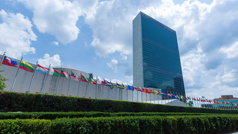 China calls for stronger international humanitarian action at UN