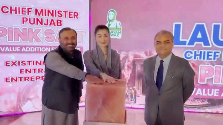 Punjab launches pink salt value addition financing scheme, announces processing zone