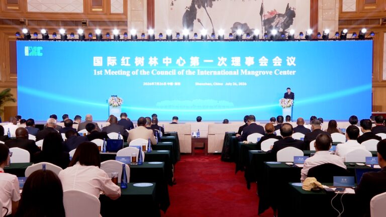 China launches International Mangrove Center in Shenzhen