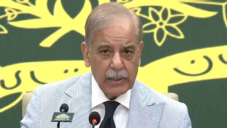 India behind terrorism in Pakistan, providing resources, says PM Shehbaz