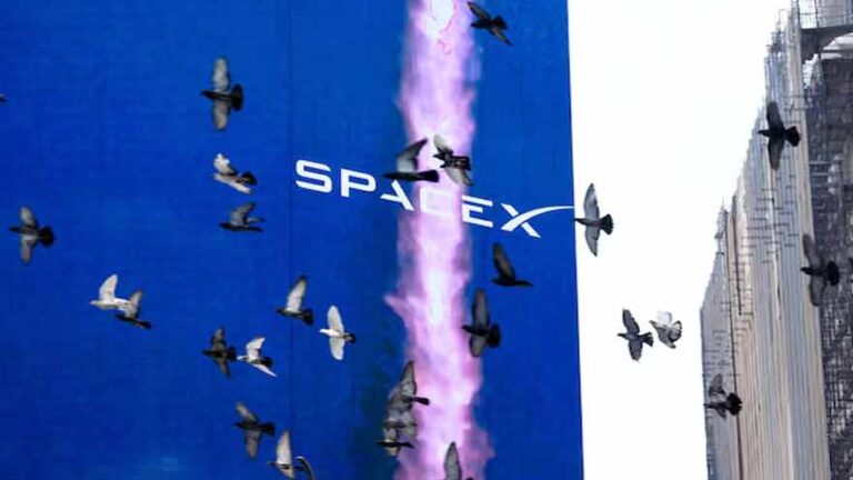 SpaceX stock climbs as shares available for trading more than double