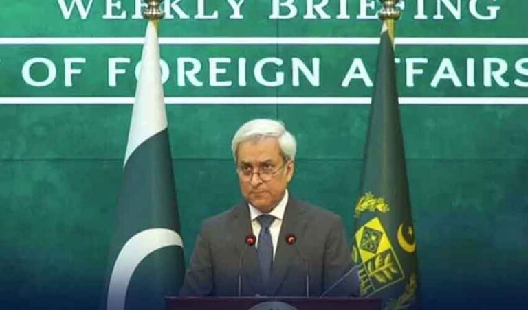 ‘Offset spoilers’: FO says Naqvi in Iran to discuss bilateral ties, regional security