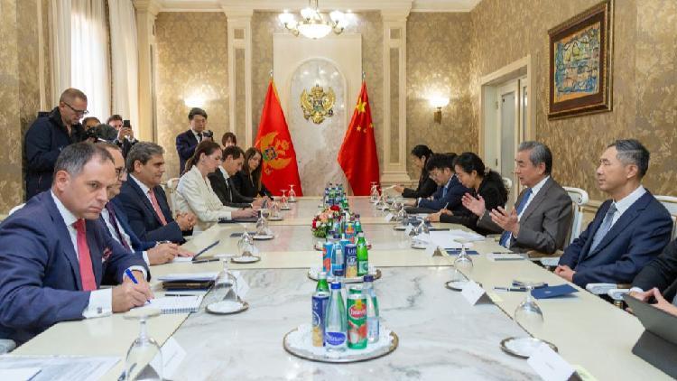 Chinese FM holds talks with Montenegrin counterpart