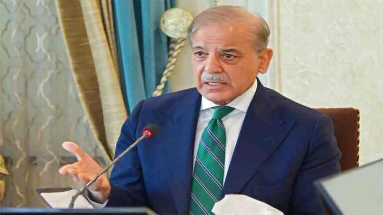 Durable peace in South Asia impossible without resolution of Kashmir dispute: PM Shehbaz